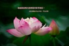 ֹ,ʴ󷨵ӹףʦ(25)