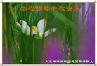 ֹ,󷨵ӹףʦ(19)