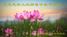 ֹ,մ󷨵ӹףʦ(24)