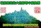 ֹ,Ĵ󷨵ӹףʦ(22)