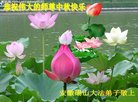 ֹ,մ󷨵ӹףʦ(24)