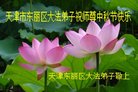 ֹ,󷨵ӹףʦ(22)