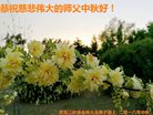 法轮功,黑龙江大法弟子恭祝师尊中秋好(20条)
