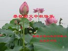 ֹ,մ󷨵ӹףʦ(24)