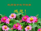ֹ,󷨵ӹףʦ(24)
