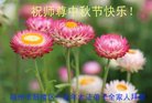ֹ,󷨵ӹףʦ(14)