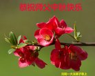 ֹ,󷨵ӹףʦ(22)