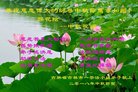 ֹ,д󷨵ӹףʦ(22)