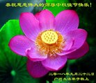ֹ,ݴ󷨵ӹףʦ(23)