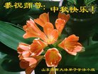 ֹ,ϴ󷨵ӹףʦ(26)