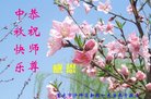 法轮功,重庆大法弟子恭祝师尊中秋好(26条)