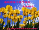 ֹ,Ϋ󷨵ӹףʦ(21)