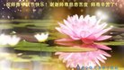 ֹ,ϴ󷨵ӹףʦ(26)