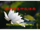 法轮功,廊坊大法弟子恭祝师尊中秋好(27条)