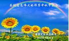 ֹ,󷨵ӹףʦ(30)