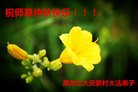 ֹ,󷨵ӹףʦ(24)