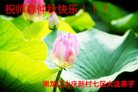 ֹ,󷨵ӹףʦ(24)