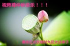法轮功,大庆大法弟子恭祝师尊中秋好(24条)