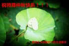 ֹ,󷨵ӹףʦ(24)
