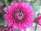 ֹ,󷨵ӹףʦ(25)