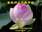 ֹ,󷨵ӹףʦ(28)