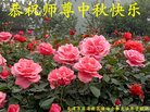 ֹ,󷨵ӹףʦ(28)