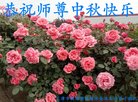 ֹ,󷨵ӹףʦ(28)