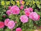 ֹ,󷨵ӹףʦ(28)