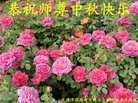 ֹ,󷨵ӹףʦ(28)
