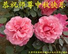 ֹ,󷨵ӹףʦ(28)