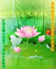 ֹ,մ󷨵ӹףʦ(23)