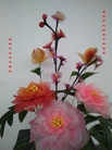 ֹ,ϴ󷨵ӹףʦ(28)