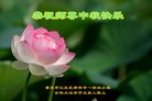 ֹ,󷨵ӹףʦ(22)
