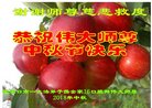 ֹ,żҿڴ󷨵ӹףʦ(22)
