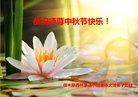ֹ,ľ˹󷨵ӹףʦ(24)