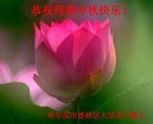 ֹ,󷨵ӹףʦ(23)