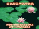 ֹ,ʡ󷨵ӹףʦ(29)