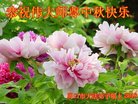 ֹ,ϴ󷨵ӹףʦ(30)