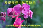 ֹ,Ϋ󷨵ӹףʦ(26)