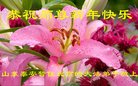 ֹ,󷨵ӹףʦ(21)