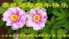 ֹ,Ϋ󷨵ӹףʦ(23)