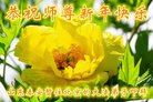 ֹ,󷨵ӹףʦ(21)
