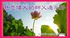 ֹ,󷨵ӹףʦ(24)