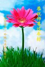 ֹ,󷨵ӹףʦ(21)