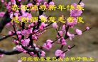 ֹ,ػʵ󷨵ӹףʦ(21)
