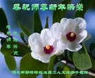 ֹ,ӱ󷨵ӹףʦ(19)