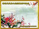 法轮功,河北大法弟子恭祝师尊新年好(25条)