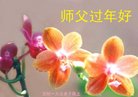 ���ֹ�,�����󷨵��ӹ�ףʦ�������(22��)