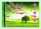 法轮功,山东大法弟子恭祝师尊新年好(20条)