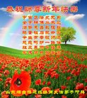 法轮功,山东大法弟子恭祝师尊新年好(20条)